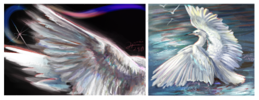 Wings Study 🪽་༘࿐ – hawaii_2489(🫪)