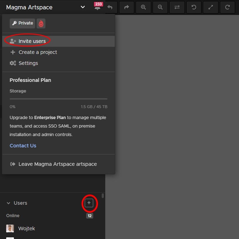 Invite people to your Magma Artspace with the dropdown or plus symbol from your dashboard
